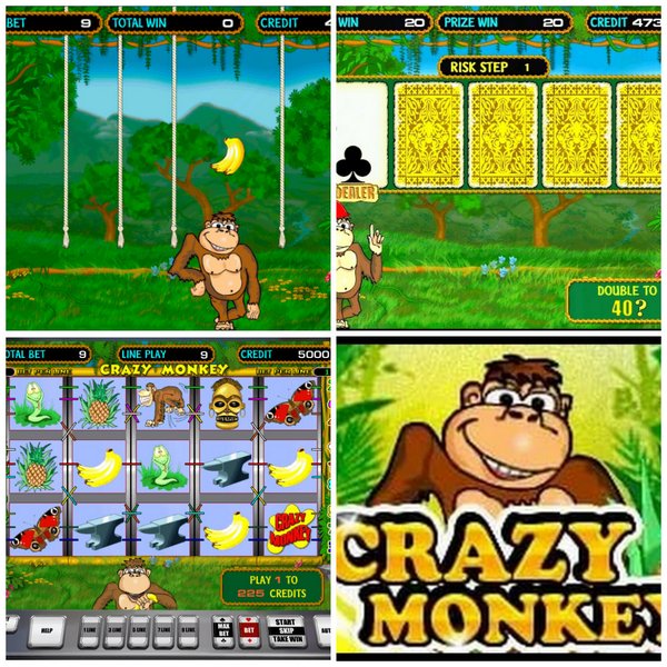 Автомат Crazy-monkey - погоня за джекпотом уже началась, только самые интересные приключения специально для вас