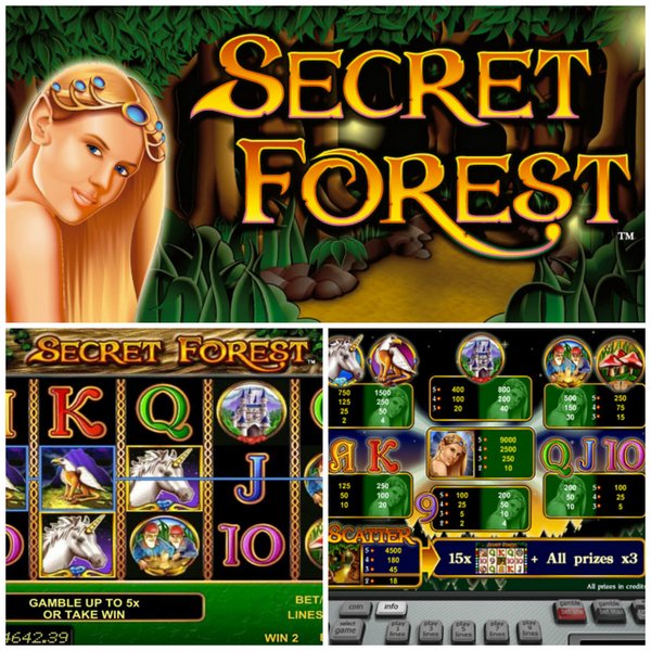 Игровой видео-слот secret-forest - Отличная игра на шикарном автомате с возможностью получения больших денег