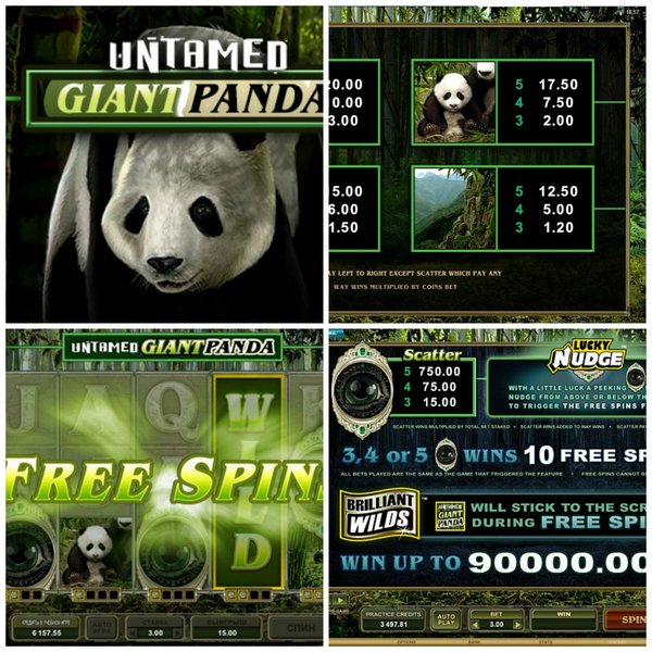 Игровой слот giant-panda - Автомат для денежного обогащения